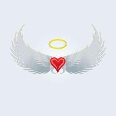 wings and heart N2