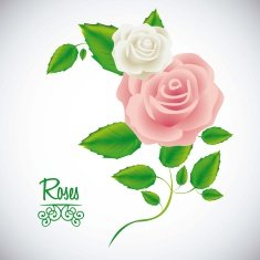 Flowers Icons N11