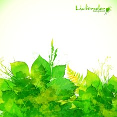 Green summer foliage vector background N2