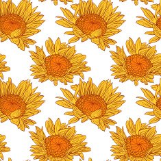 vector seamless pattern with sunflowers