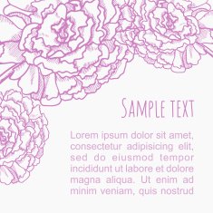 peony N3