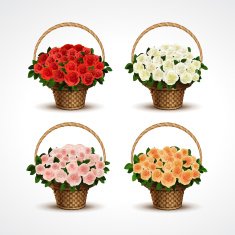 Set Baskets of Roses Isolated