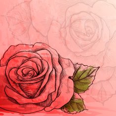 Sketch rose branch N2