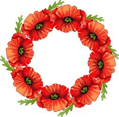 Poppies flower N2