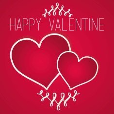 Valentines Day N305