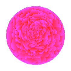 pink flower N4