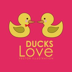 ducks N2