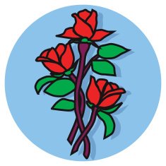 Red Roses N13