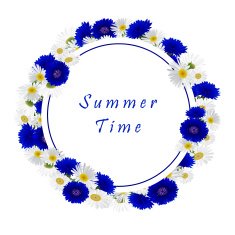Vector white background with chamomile and cornflowers N3