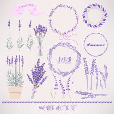 Lavender set
