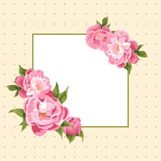 Peonies N7