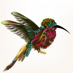 Vector illustration with realistic humming bird for design