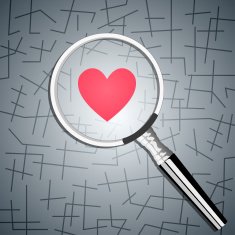 Search for Love N2