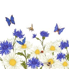 Greeting Card with Blooming Chamomile N5