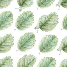 Seamless pattern with beautiful spring leaves N2