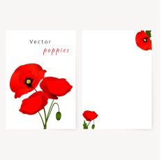 Template card with red flowers poppies