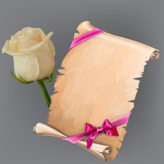 Vector white rose and scroll with ribbon