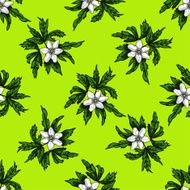 Seamless pattern with white flowers anemones N2