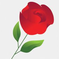 Red stylized rose Vector illustration
