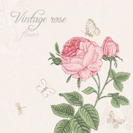Vintage vector background with blooming pink rose