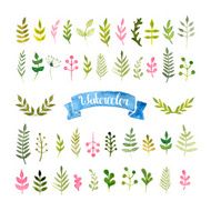 Vector watercolor collection