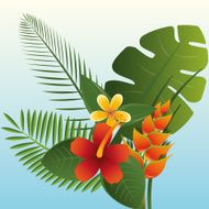 Flowers design vector illustration N20