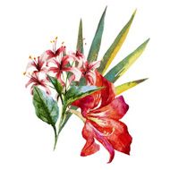 Watercolor Flowers N114