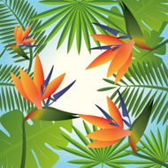 Flowers design vector illustration N26