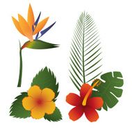Flowers design vector illustration N27