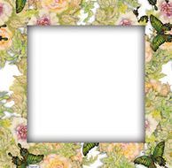Watercolor flower frame on white background N51
