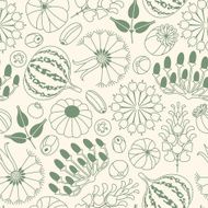 seeds and berries N2
