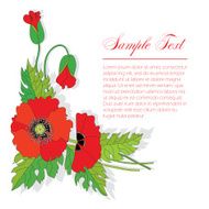 bouquet of poppies