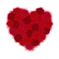 Valentines Heart N11