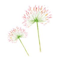 vector watercolor pink flower N2