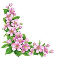 Blossoming Branch