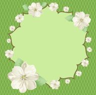 White Flowers N7