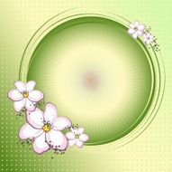 pink flowers and circle