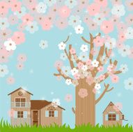 Cherry blossoms in spring D
