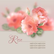 Card with vector flowers roses