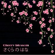 cherry card