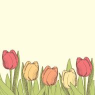 Tulips card