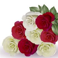 Roses N43