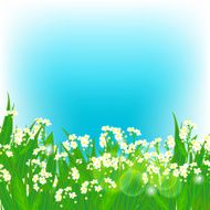 Vector card with small white flowers N5
