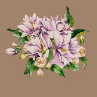 Floral Bouquet with Blooming Jasmine N3