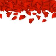 Border of rose petals