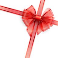 Red transparent bow isolated on white