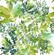 Watercolor vector spring background N12