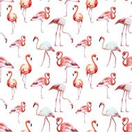 flamingo pattern N3