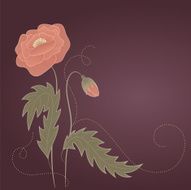 Cute card with poppies