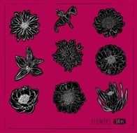 Flowers N274